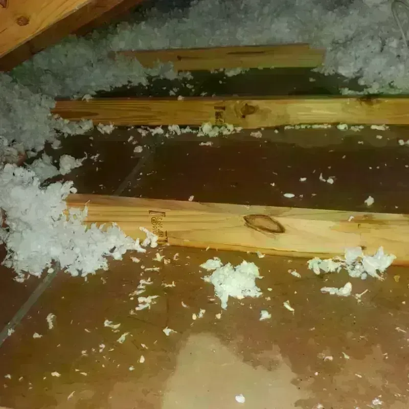 Attic Water Damage in Queenland, MD